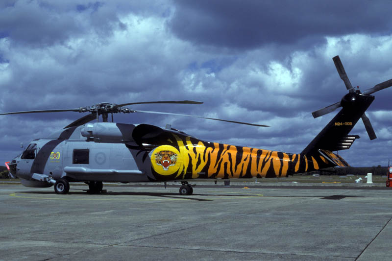 vh.na_N24-008tiger.jpg